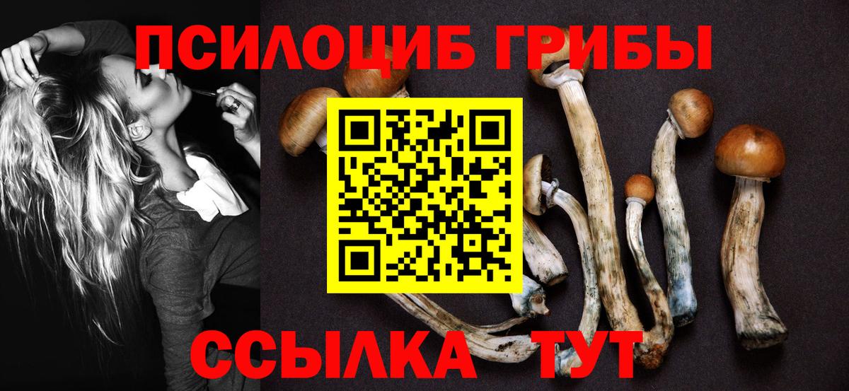 Борзя  Галлюциногенные грибы Magic Shrooms  Вход с VPN 
